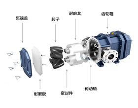 排水抢险车转子泵解析图