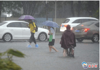 暴雨来袭 亲们~请注意交通安全，别急！